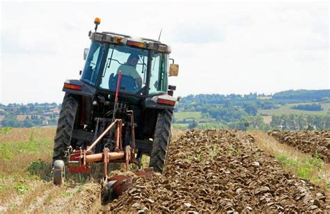 Concours De Labour Le Monde Agricole Sera à Lhonneur à Avignonet