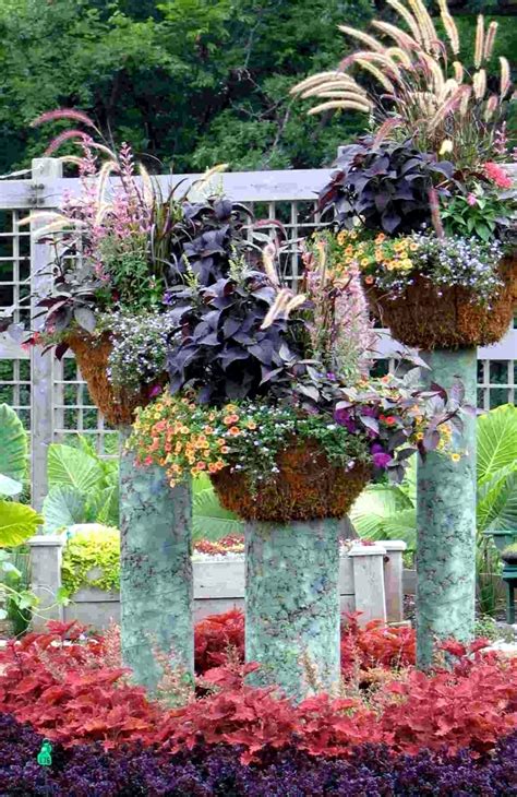 Five of the best flowers for outdoor pots five of the best: A variety of ideas for flower pots bring a breath of fresh ...