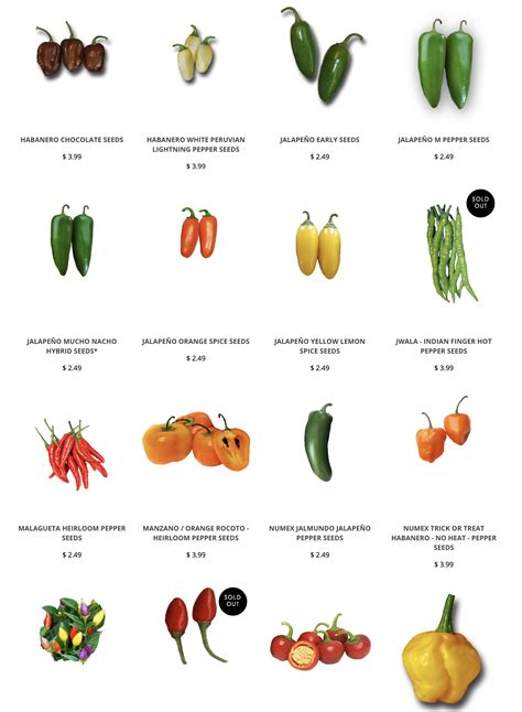 Pepper Plant Size Chart