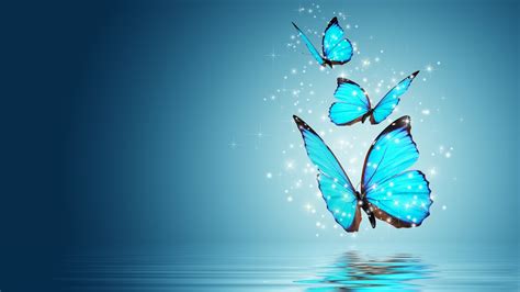 1246940 Hd Blue Animated Butterfly Rare Gallery Hd Wallpapers