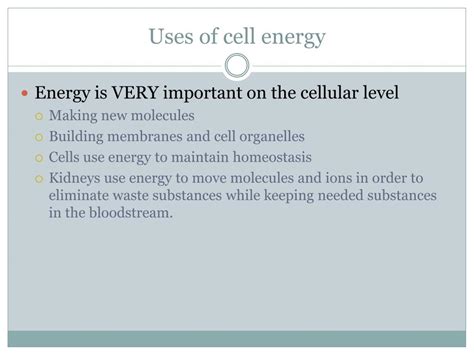 Ppt Energy In A Cell Powerpoint Presentation Free Download Id2065107