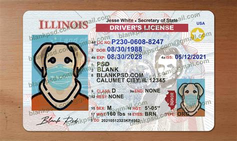 Blank Illinois Drivers License Template New V2 Blank Psd Free