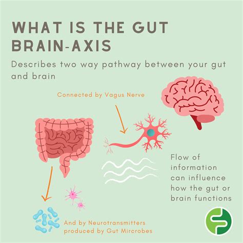 What Is A Gut Brain Axis Fodmap Friendly