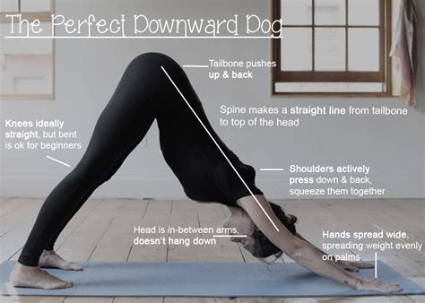 Does Downward Dog In Yoga Increase Risk Of Glaucoma