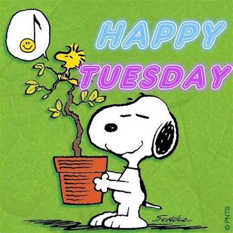 Happy Tuesday Day Good Morning Tuesday Tuesday Quotes Happy Tuesday