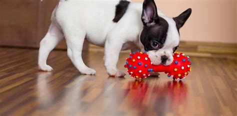 Buy products such as pillow pets nbcuniversal the secret life of pets max stuffed animal plush toy at walmart and save. Best Dog Toys 2019: Our HUGE Review of Top 20 Best Toys ...