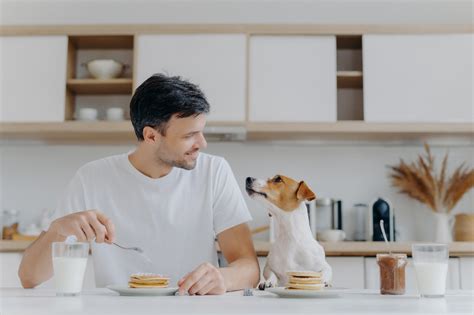 These waste products include urea (a compound that forms when proteins are broken down). Dog Food for Kidney Diseases: Facts You Need to Know