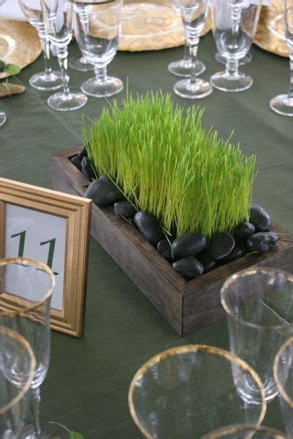 29 Fresh Wheatgrass Home Décor Ideas To Try In Spring