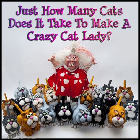 345 Best Images About Crazy Cat Ladies On Pinterest I Love Cats Lady And Cats