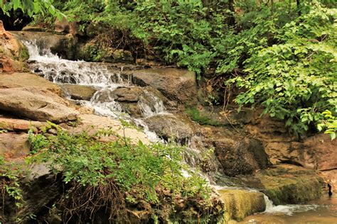 Little Creek Waterfall Free Stock Photo Public Domain Pictures