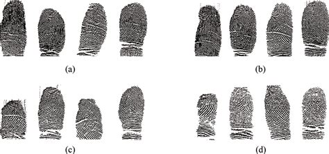 Figure 1 From Fingerprint Recognition With Identical Twin Fingerprints Semantic Scholar