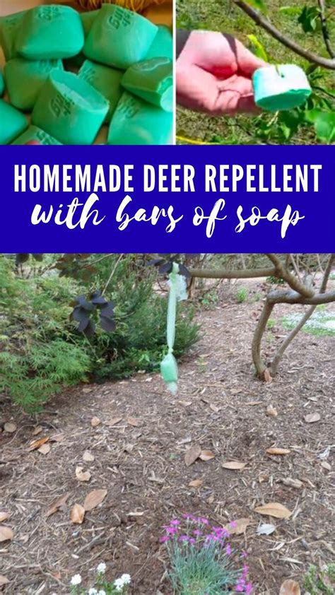I bet you didn't know this, but… i didn't exactly grow up which is why i turned to this homemade organic pest control garden spray. 6 Non-Toxic Homemade Pest Control for Gardens - DIY Morning