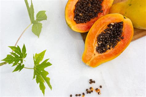 Papaya Indoor Plant Care And Growing Guide