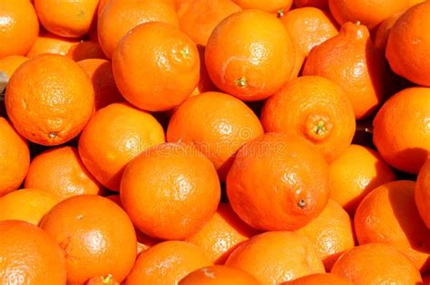 Fresh Whole Oranges Fruit Stock Image Image Of Food 112058653