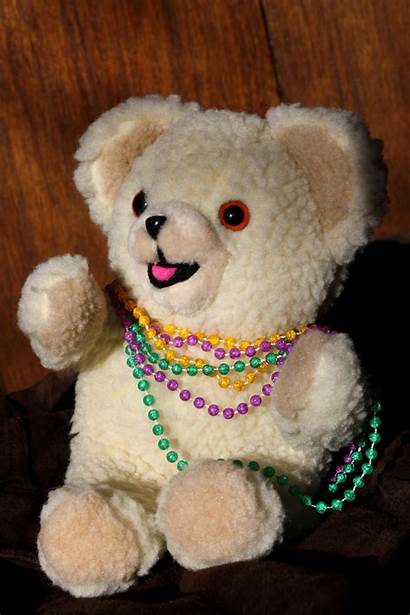 Teddy Bear Mardi Gras Wearing Beads Resolution