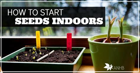 How to start flowers indoors. How To Start Seeds Indoors - Updated For 2018