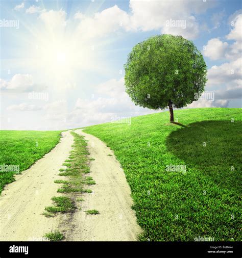 Road In Field With Tree And Bright Blue Sky Stock Photo Alamy