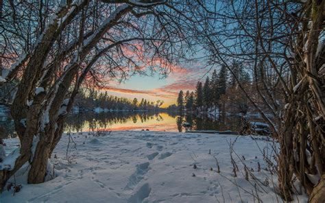 Hd Trees Snow Winter Lake Reflection Sunset Android Wallpaper