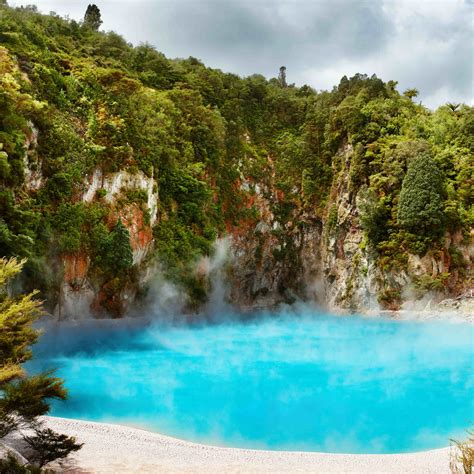 Reasons Why You Should Visit Rotorua Vroomvroomvroom
