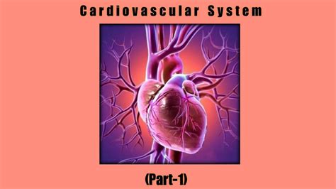 Cardiovascular System Part 1 General Introduction About Blood Heart