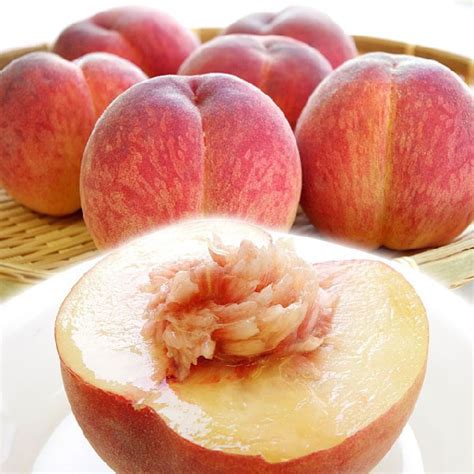 Japanese Misaka Hakuhou White Peach Large Daitouryou Grade — Momobud