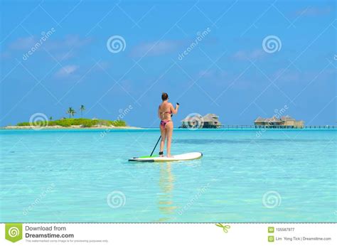 Tablero De Paleta En La Isla De Maldivas Fotografía Editorial Imagen