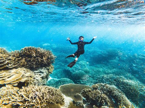 Exposed: The Secret Life Of Coral Reef On OnlyFans