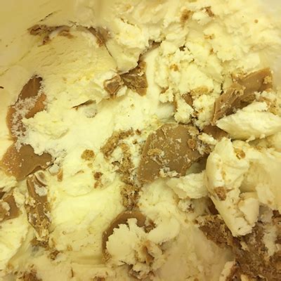 Nutter butter cookies large family size. Nutter Butter - Scoops Handmade Ice Cream