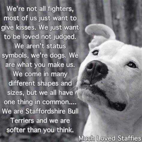 Log In Or Sign Up To View Dog Quotes Staffy Dog Pitbull Terrier