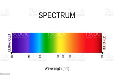 Spectrum Visible Light Infrared And Ultraviolet Stock Illustration