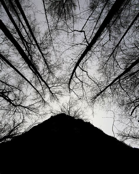 Dark Shadows Photograph By Bob Cournoyer