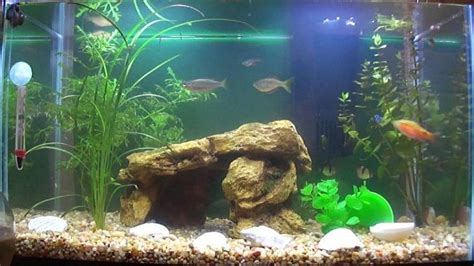 Aquarium ini di lengkapi alat alat yang standar buat pemula,karna alat alat yang digunakan mudah di dapat di toko aquarium yang ada di kota kota kalian seperti pompa dll. Desain Aquarium Air Tawar Model Terbaik Harga Murah Hingga ...