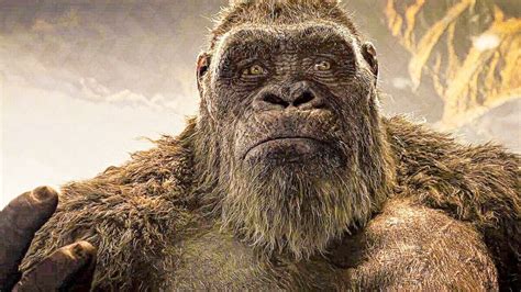 Kong, also known by the working title of apex is a 2021 american science fiction monster film produced by legendary pictures, and the fourth entry in the monsterverse, following 2019's godzilla: Godzilla Vs. Kong Trailer Reveals How Kong Leaves Skull ...