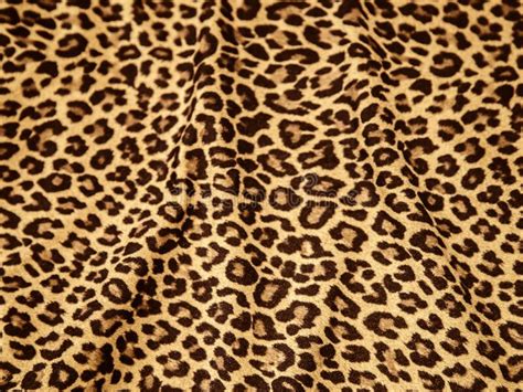 Leopard Print Picture Leopard Print Image Cloth Pattern Texture