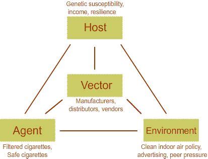 Mcdowell reviews alternative approaches to considering. In epidemiological triad model, transmission occurs when ...