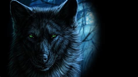 22 Black Wolf Wallpapers Wallpaperboat