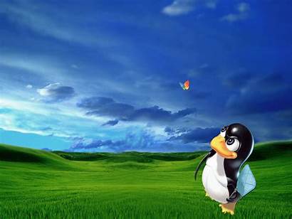 Linux Wallpapers Desktop Own Windows Nature Requirements