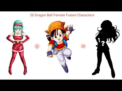 Mrsbriefsdragonball Female Dragon Ball Z Characters Female Dragon