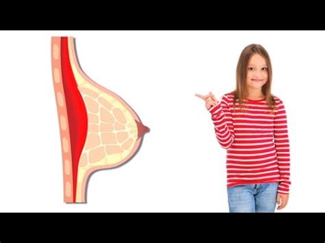 Weibliche Geschlechtsorgane Trailer Schulfilm Biologie Youtube