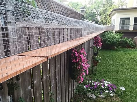 Maybe you would like to learn more about one of these? Another awesome outdoor cat enclosure | Cuckoo4Design