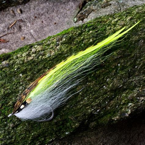 Fly Tying For Striper Photo By Jason Taylor Fly Dreamers