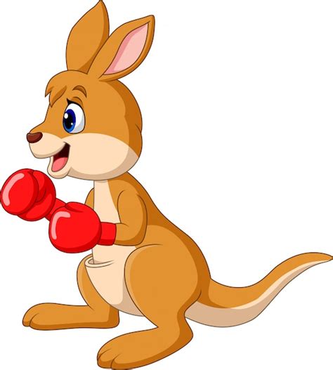 Cartoon Kangaroo Boxing Isolated On White Background Vector Premium