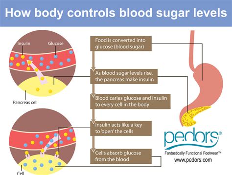 How To Control Blood Glucose Levels In Diabetes