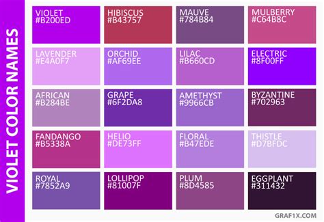 Here are the all shades from dark purple to light. Different Colours Of Purple | Midway Media
