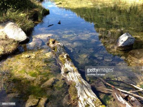 Brooke Fontana Photos Et Images De Collection Getty Images