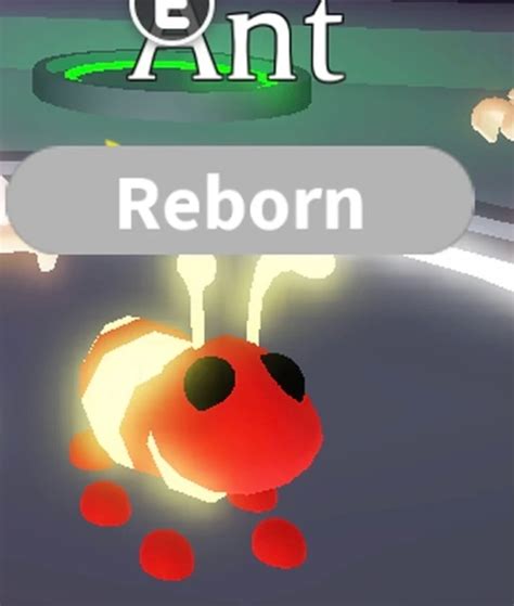 How To Make Neon Ant In Roblox Adopt Me Touch Tap Play