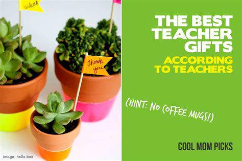 Magnolia illustrations set against a ' why you're the best teacher ever' book. The best teacher gift ideas all gathered from actual teachers