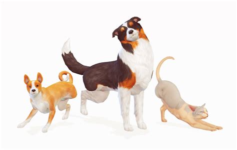 Create A Three Legged Furbaby With These Cats And Dogs Mods Simsvip