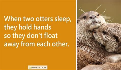 30 Facts Guaranteed To Make You Smile Happy Facts Make You Smile Facts