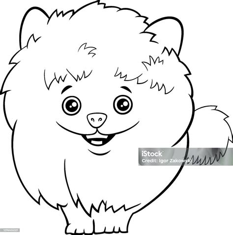 Kartun Pomeranian Dog Atau Halaman Buku Mewarnai Anak Anjing Ilustrasi